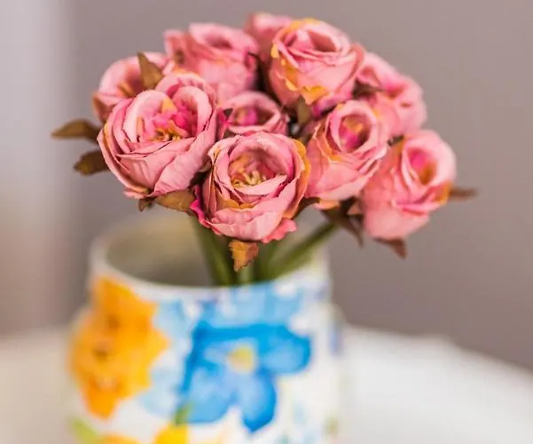 The Red Roof House *